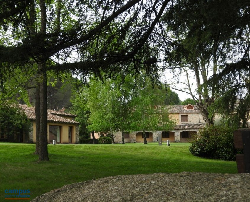 Campus Puente Nuevo 1-min